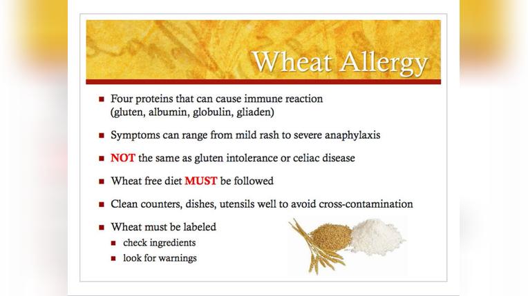 Nutrition Training - 3 - Wheat Allergies