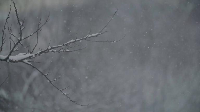 Winterdepression: So beugst du vor