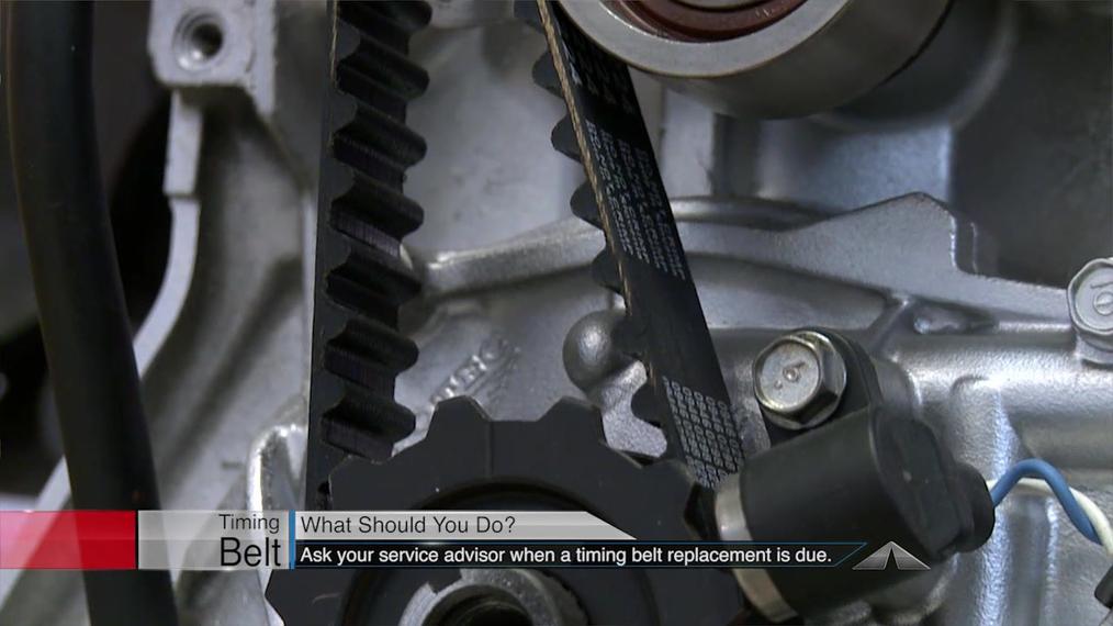 Timing Belt - Overview