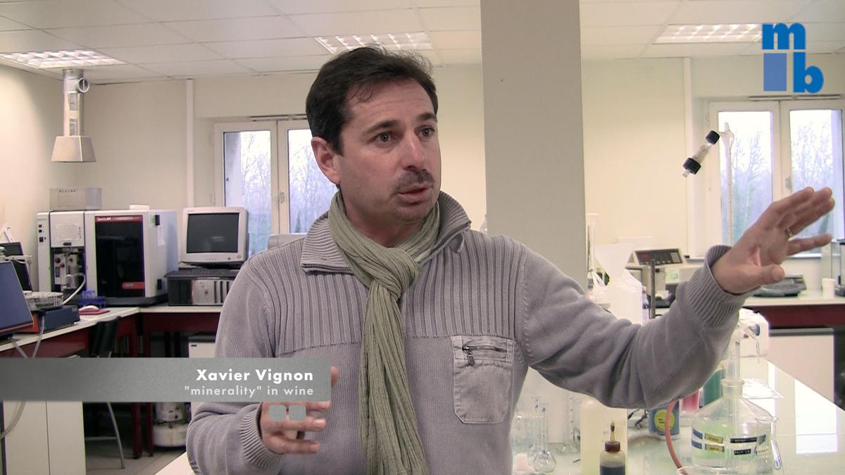 Minerality: Xavier Vignon in his laboratory