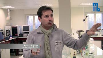 Minerality: Xavier Vignon in his laboratory