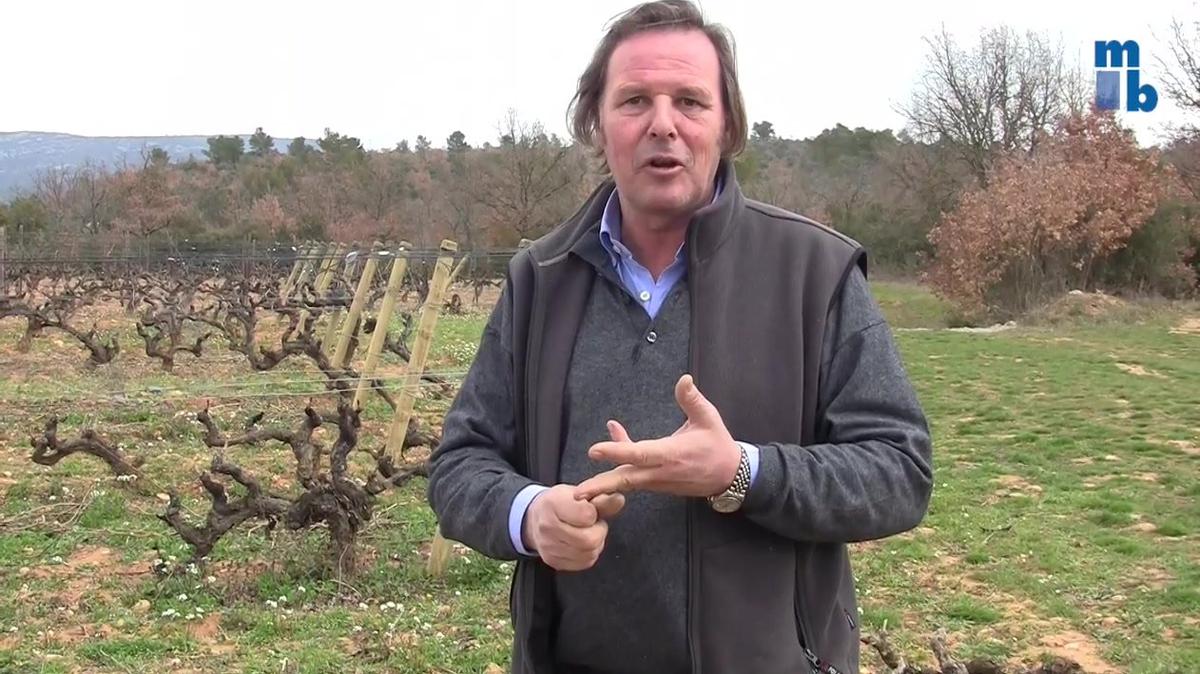 Organic Wine - The Importance of  Working the Soils