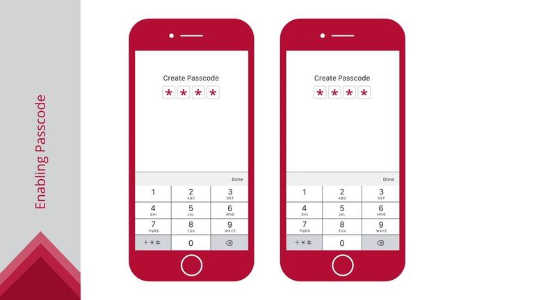 Passcode Login