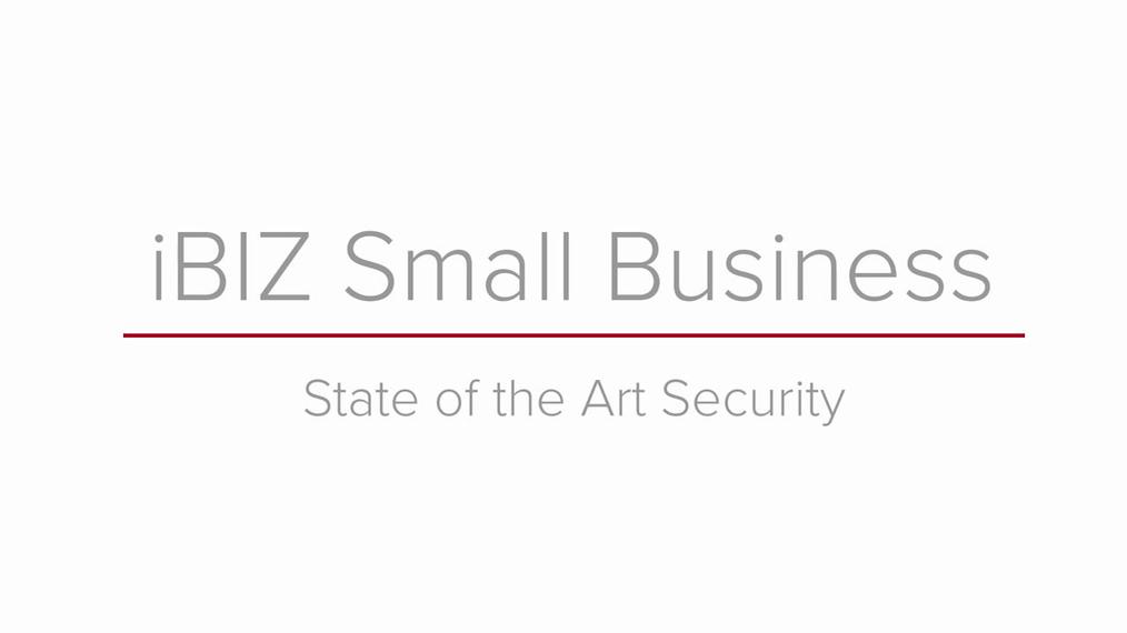 iBIZ Small Business_Demo.mp4