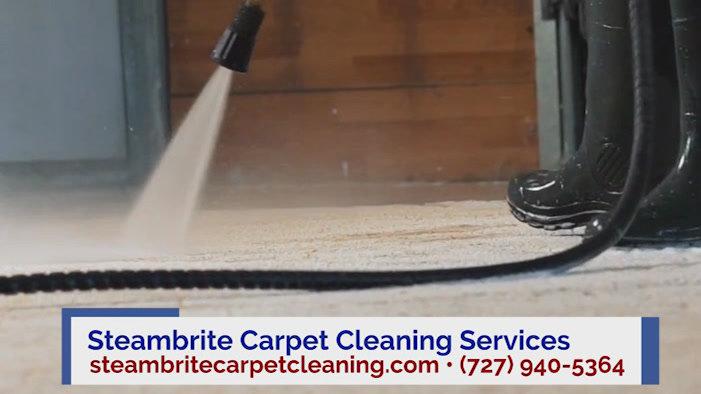 Carpet Cleaning in Tarpon Springs FL, Steambrite Carpet Cleaning Services
