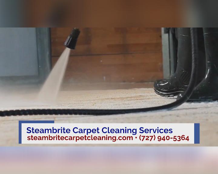 Carpet Cleaning in Tarpon Springs FL, Steambrite Carpet Cleaning Services