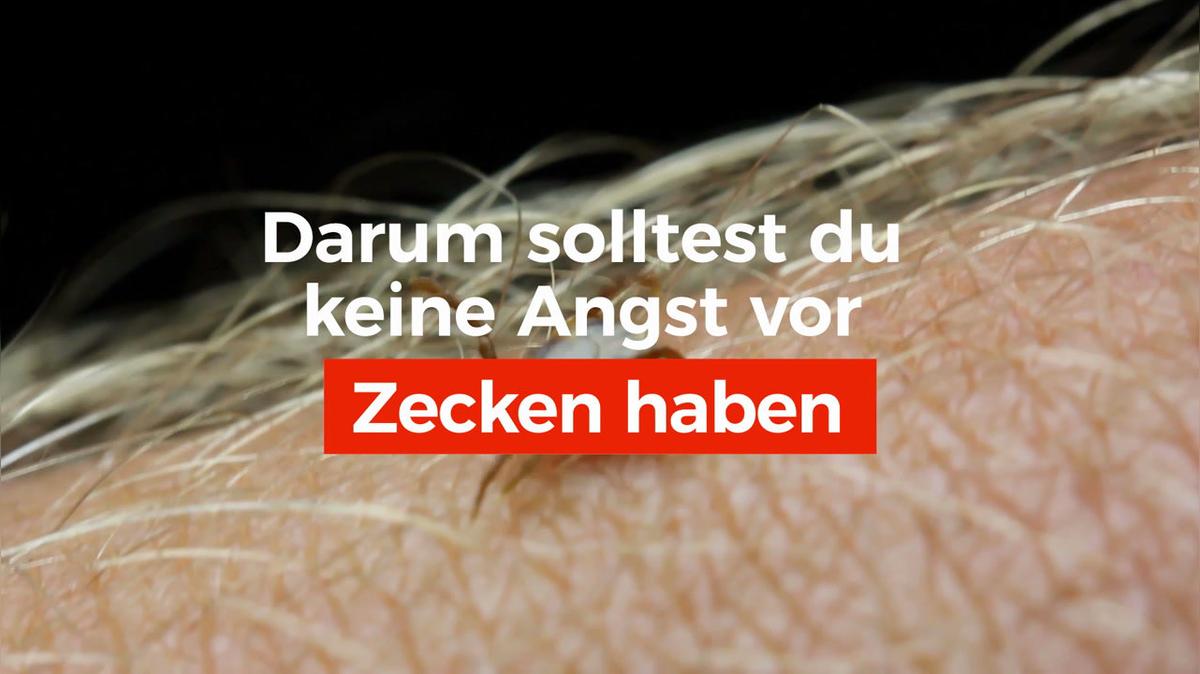 Darum solltest du keine Angst vor Zecken haben