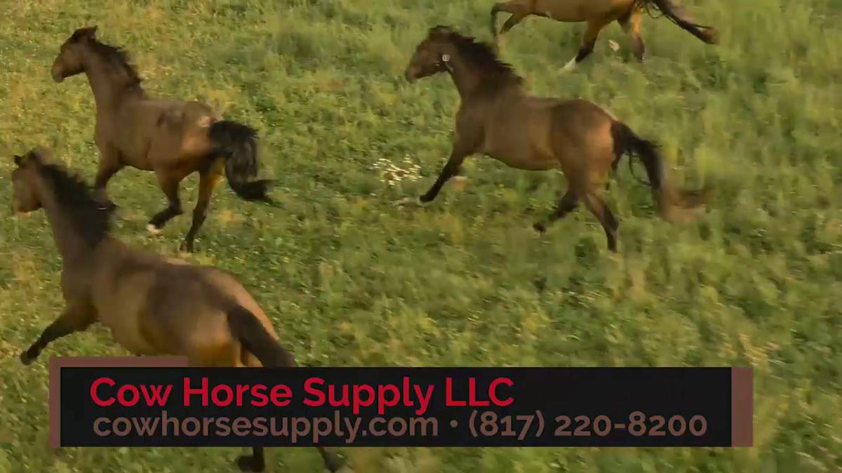 Horse Equipment in Graham TX, Cow Horse Supply LLC