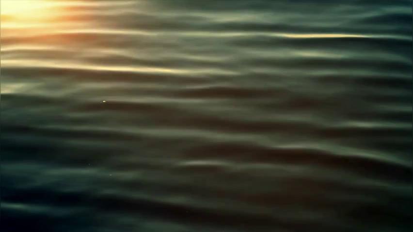 lightstock_345960_480_user_43224226.mp4