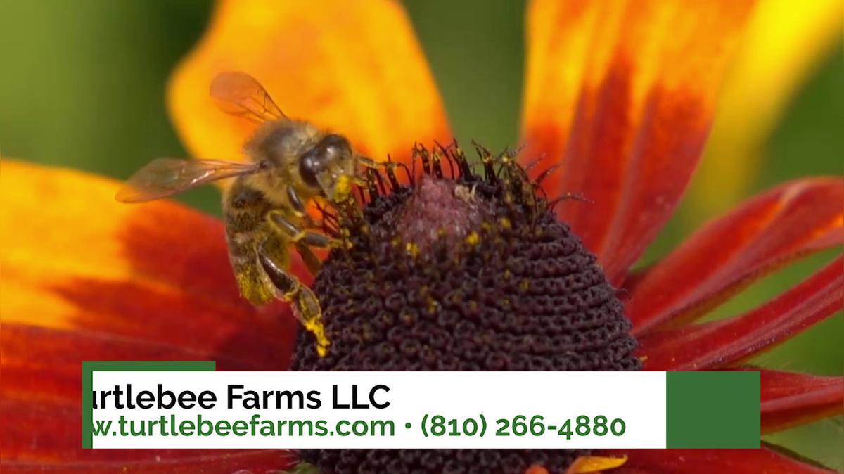 Honey Farm in Linden MI, Turtlebee Farms LLC