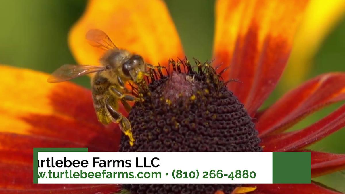 Honey Farm in Linden MI, Turtlebee Farms LLC