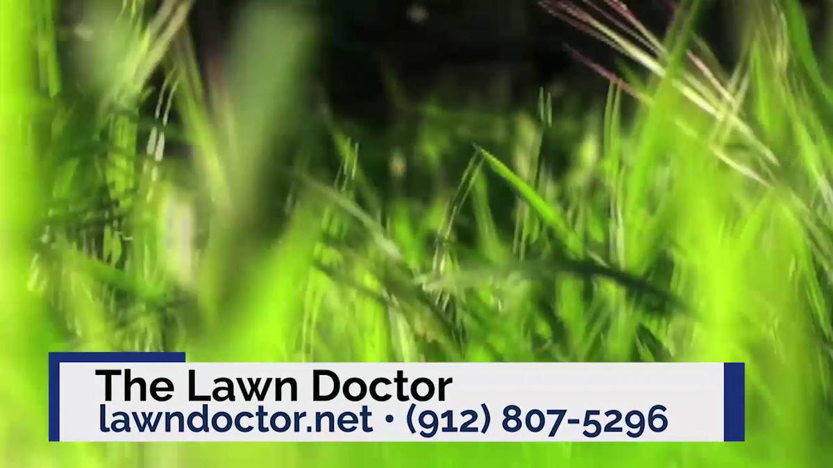 Landscaping in Blackshear GA, The Lawn Doctor