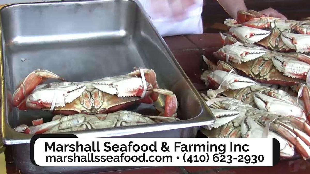 Crab Delivery in Marion Station MD, Marshall Seafood & Farming Inc