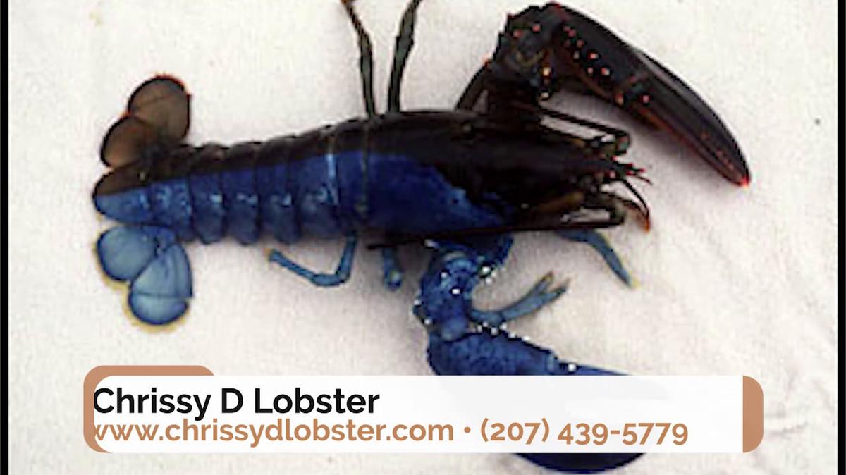 Wholesale Lobster in Kittery ME, Chrissy D Lobster