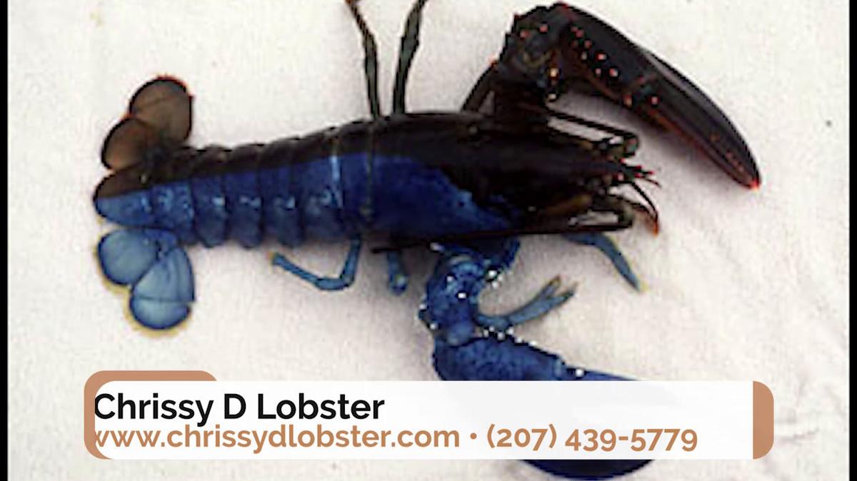 Wholesale Lobster in Kittery ME, Chrissy D Lobster