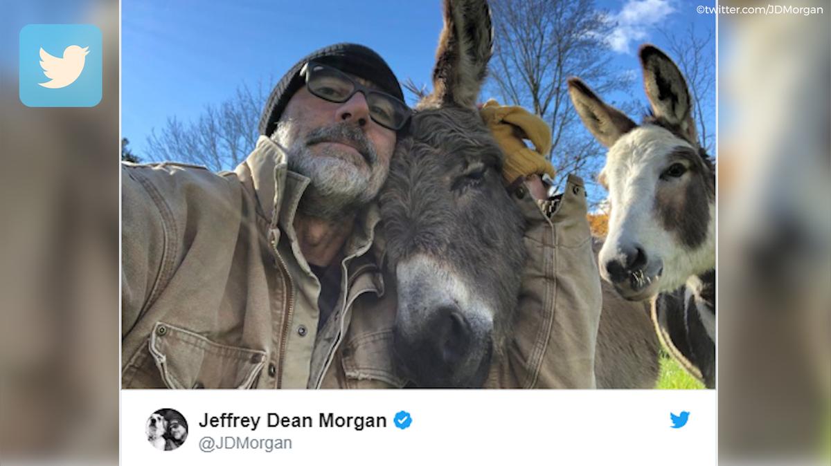 Kurioses Tierpaar darf dank &quot;The Walking Dead&quot;-Star zusammenbleiben