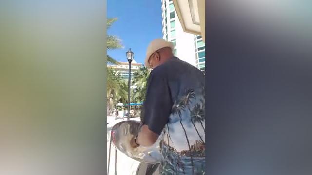 Steel Drum D.B. (2).mp4