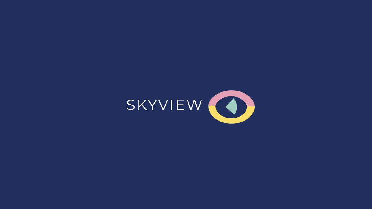 Connectel Skyview