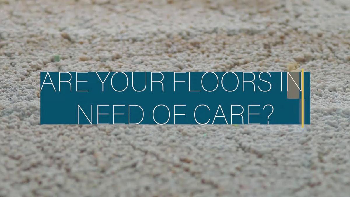 Carpet Cleaning in Bloomington IL, M-M Cleaning Service