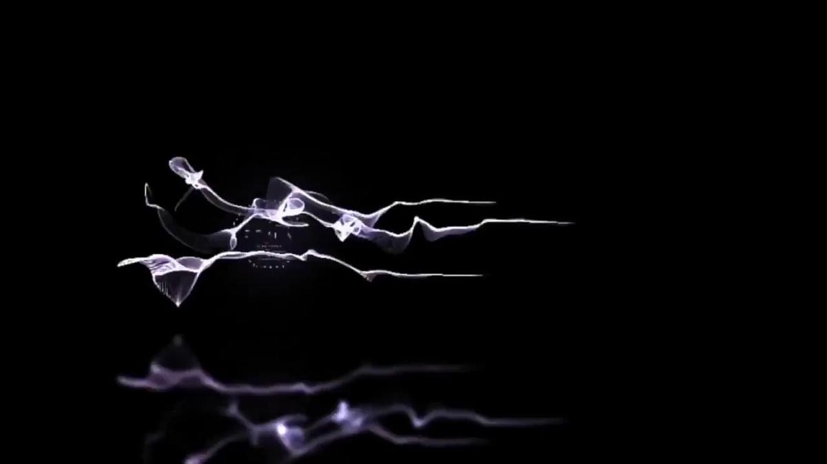 HR Video 5 - Team Member Benefits (2023)