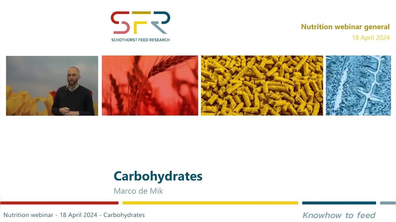 Carbohydrates