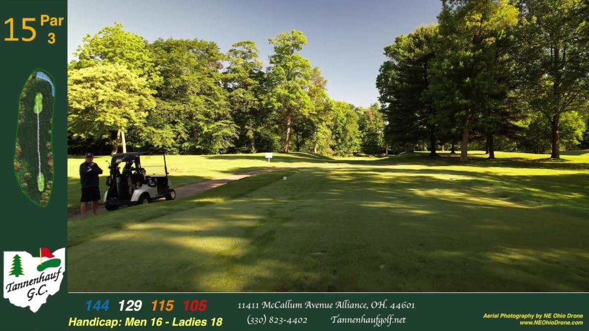 Tannenhauf Hole #15