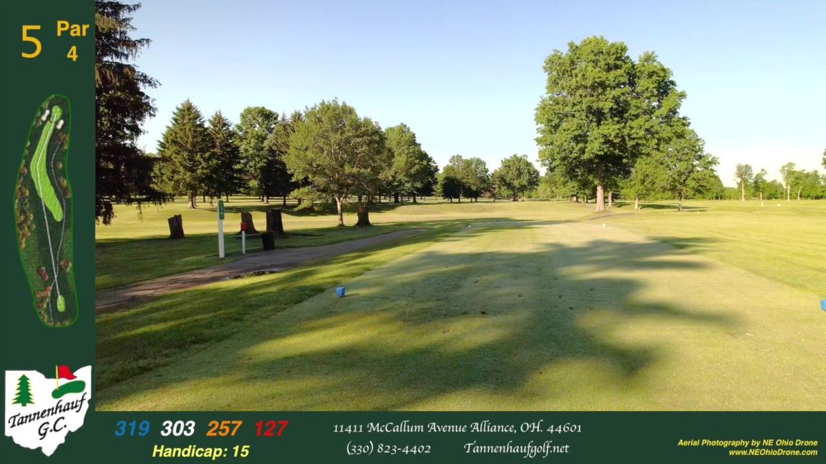 Tannenhauf Hole #5