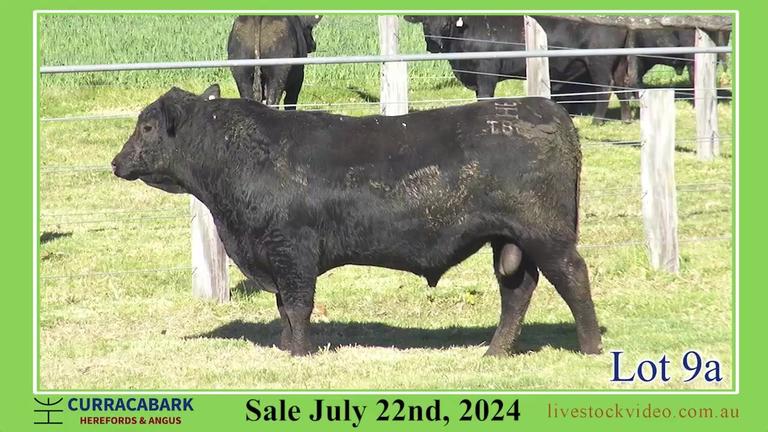 Lot 9a