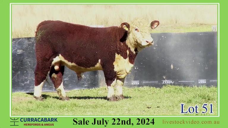Lot 51