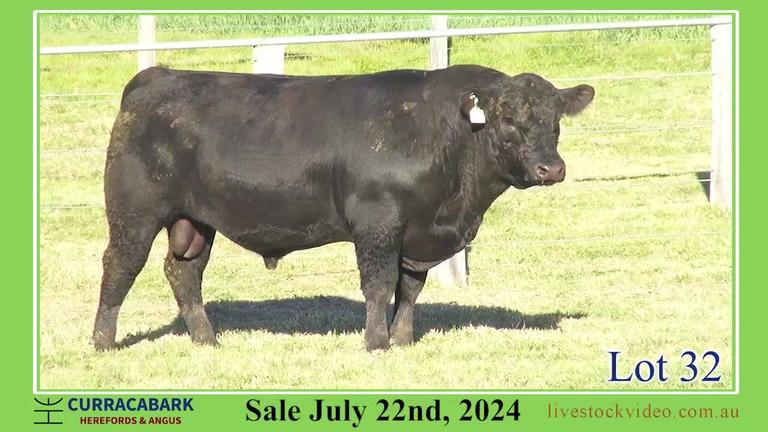 Lot 32