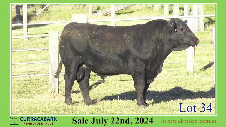 Lot 34