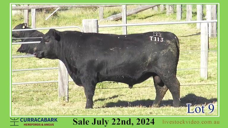Lot 9