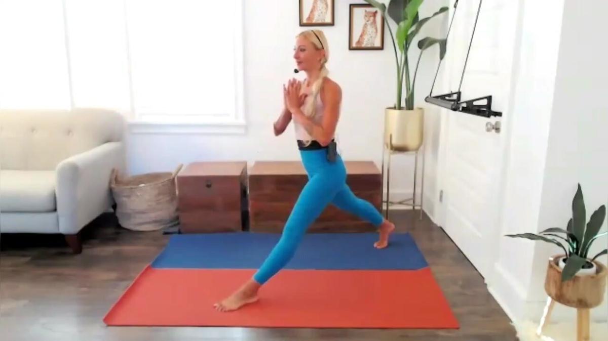 (0-Demo) Yoga Plank Lunge Flow