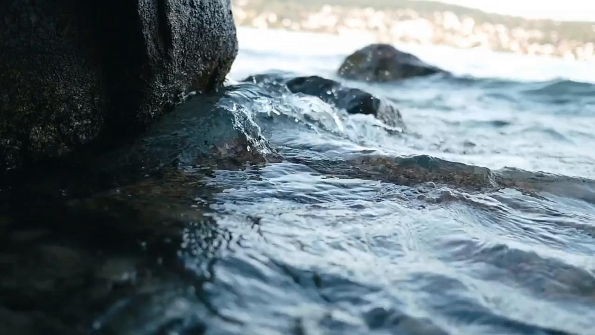 Pexels-Jarod-Barton-16979835 (1080P)