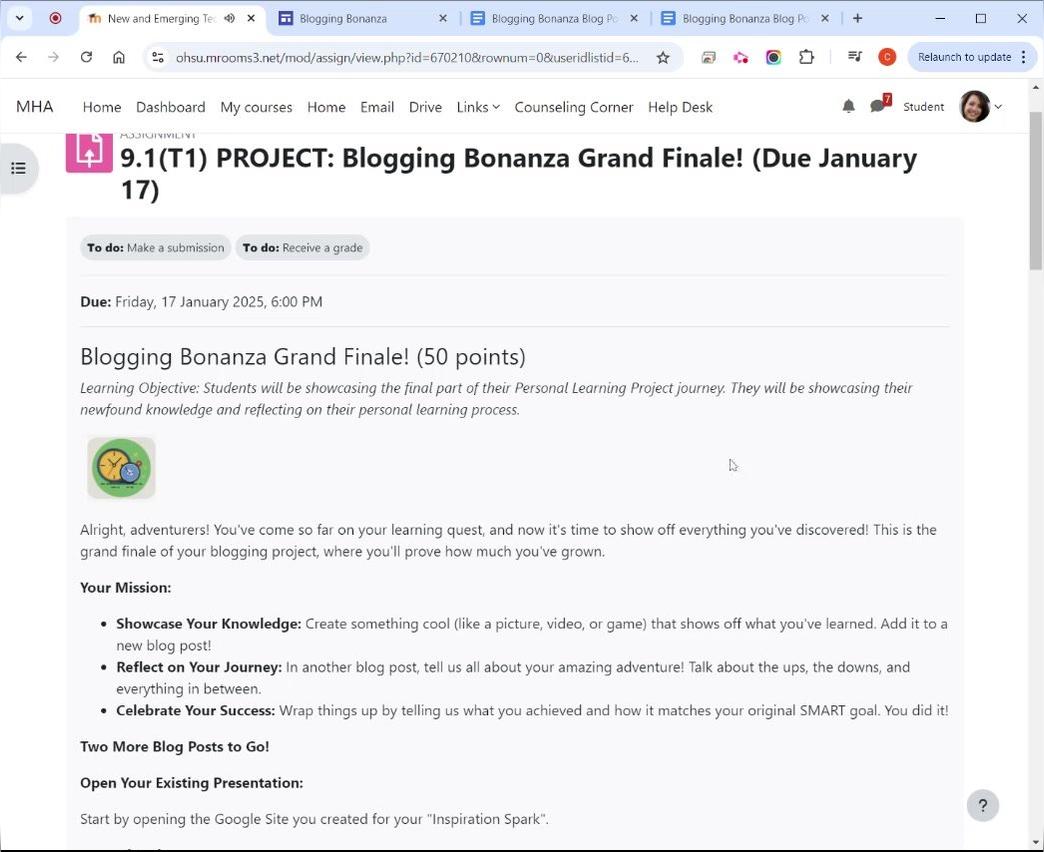 Final Blogging Bonanza Instructions Video