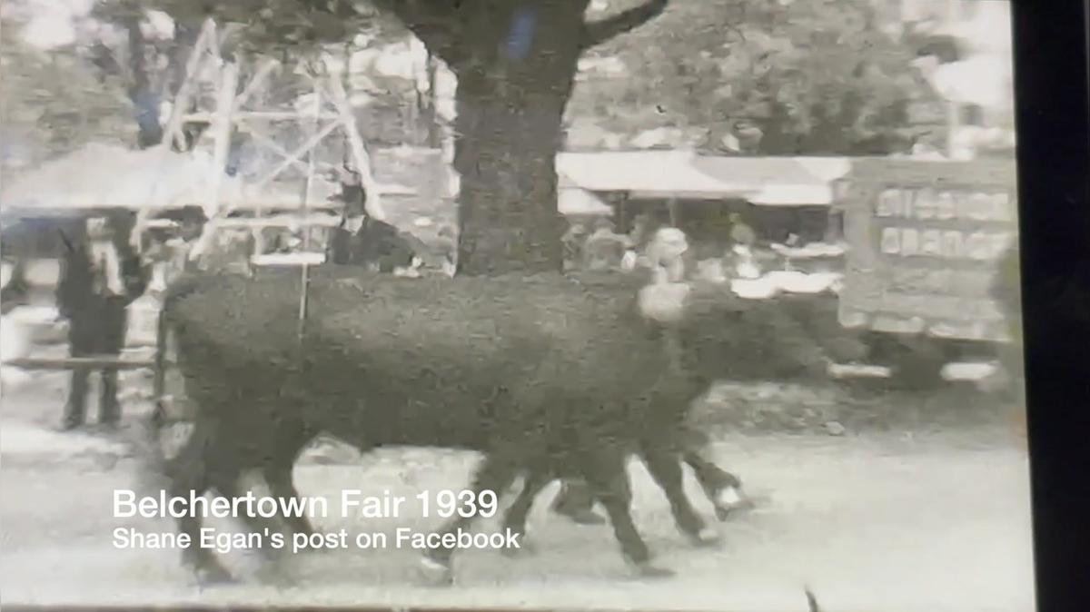 Belchertown Fair 1939
