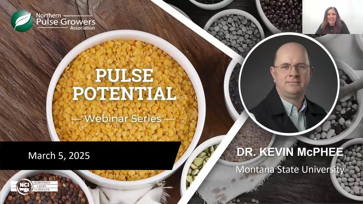 Pulse Potential: MSU Breeding Program with Kevin McPhee