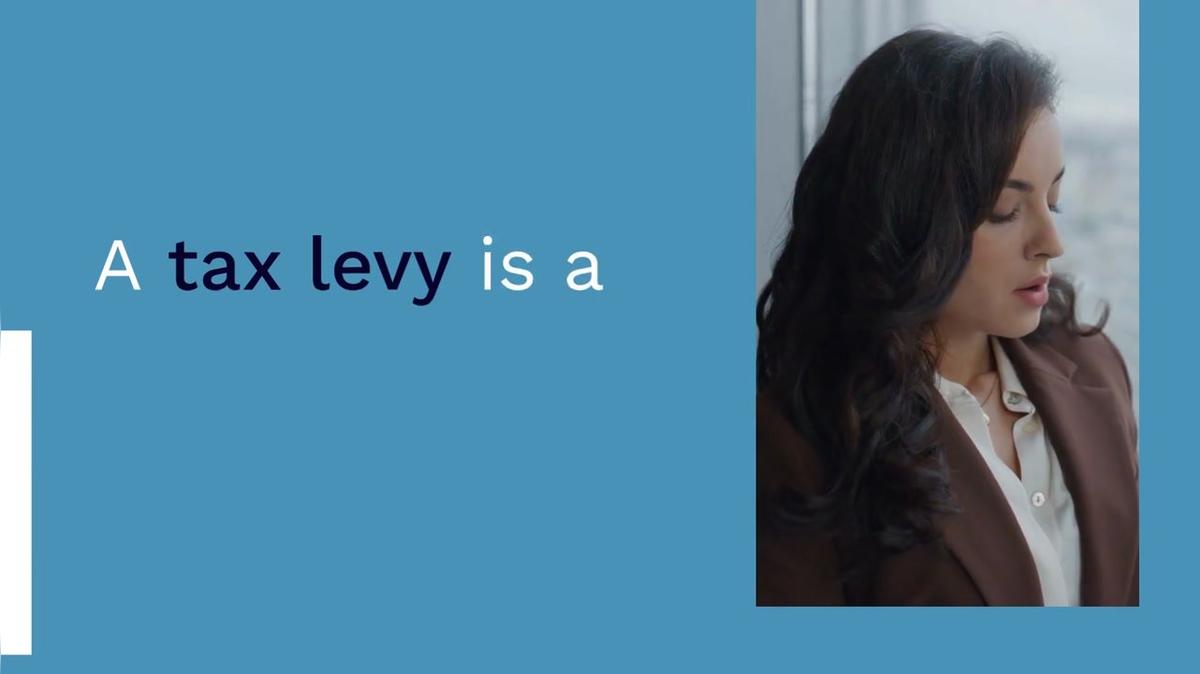 Understanding IRS Tax Levies