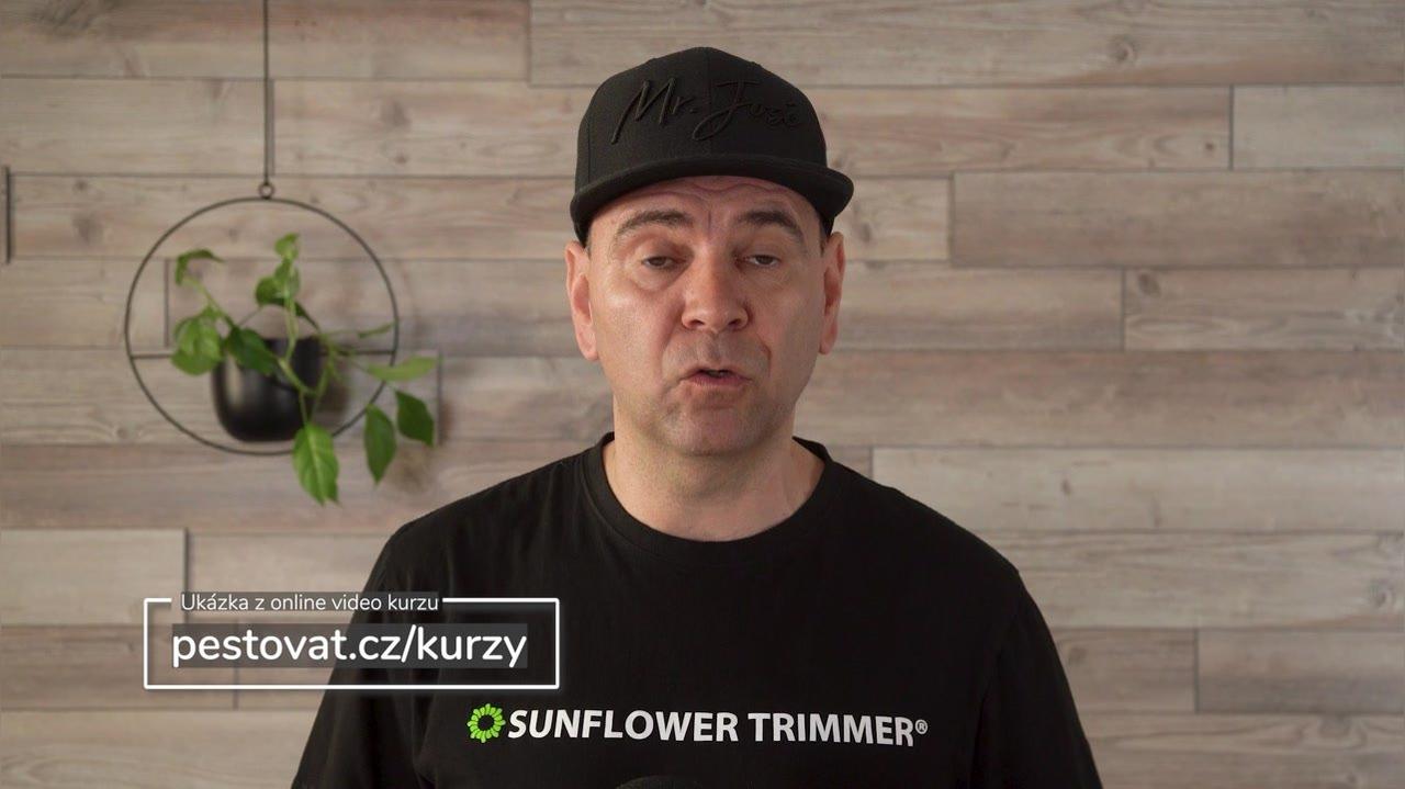 Strojová Sklizeň se Sunflower trimmer