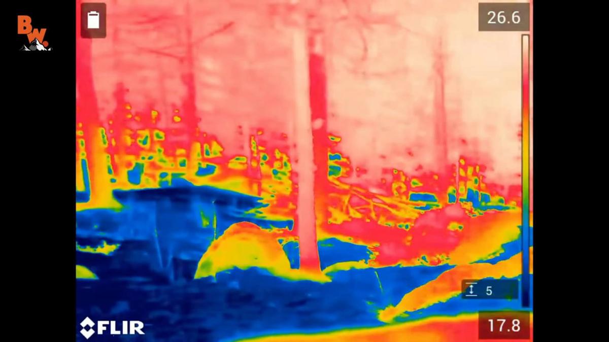 FLIR Only - Brave Wilderness