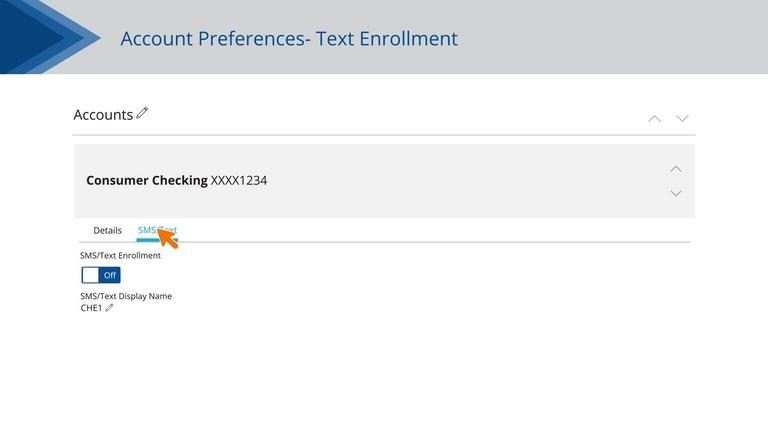 Text Banking