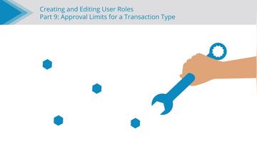 Approval Limits for a Transaction Type