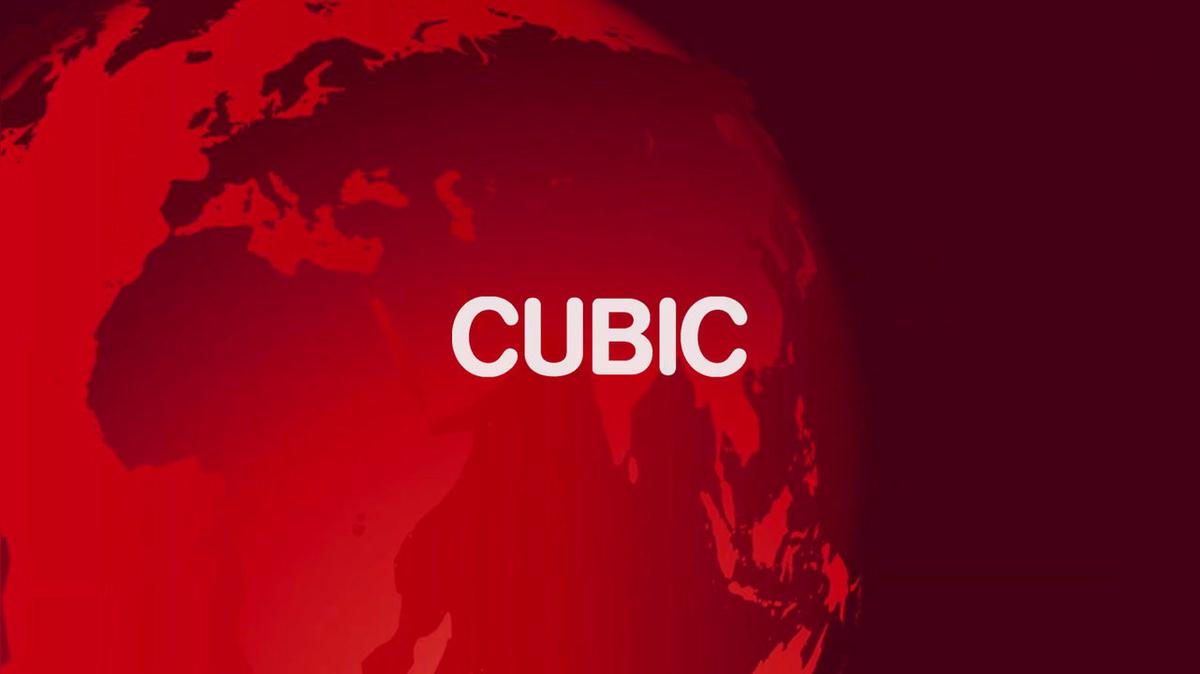 Introductory to the CUBIC modular system - step model