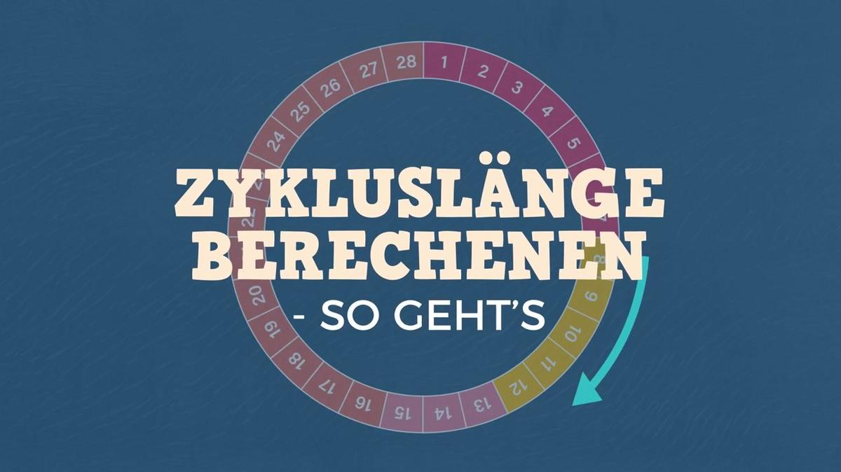 Zykluslänge berechnen - So geht&#39;s