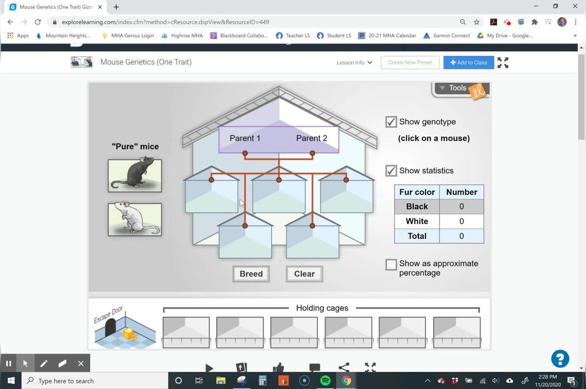 Mouse Genetics 1 Trait (Activity #2)