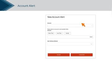 Account Alerts