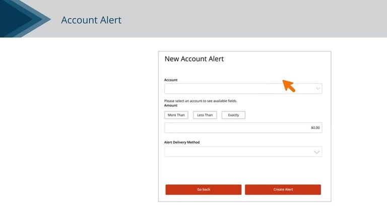 Account Alerts