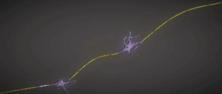 Neuron Fire