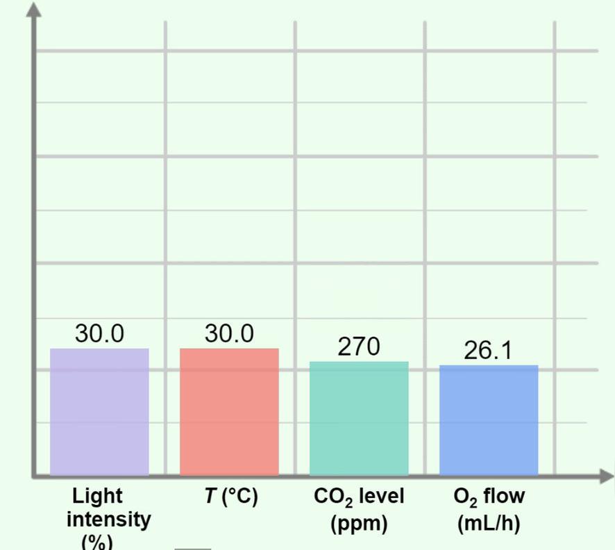 Carbon Dioxide vs Oxygen - Plant and Snail
