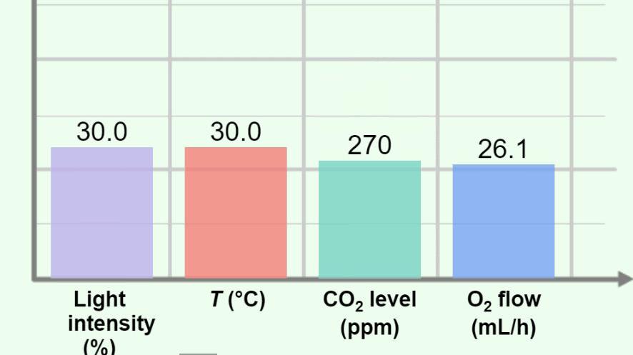 Carbon Dioxide vs Oxygen - Plant and Snail